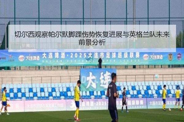切尔西观察帕尔默脚踝伤势恢复进展与英格兰队未来前景分析